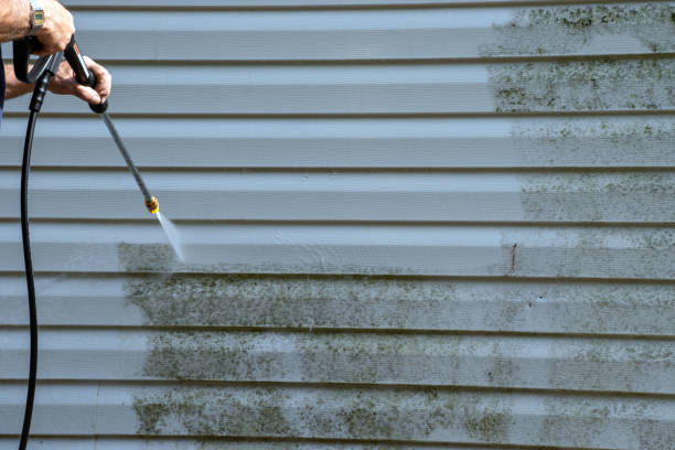 Best Siding Removal and Disposal  in Glen Dale, WV